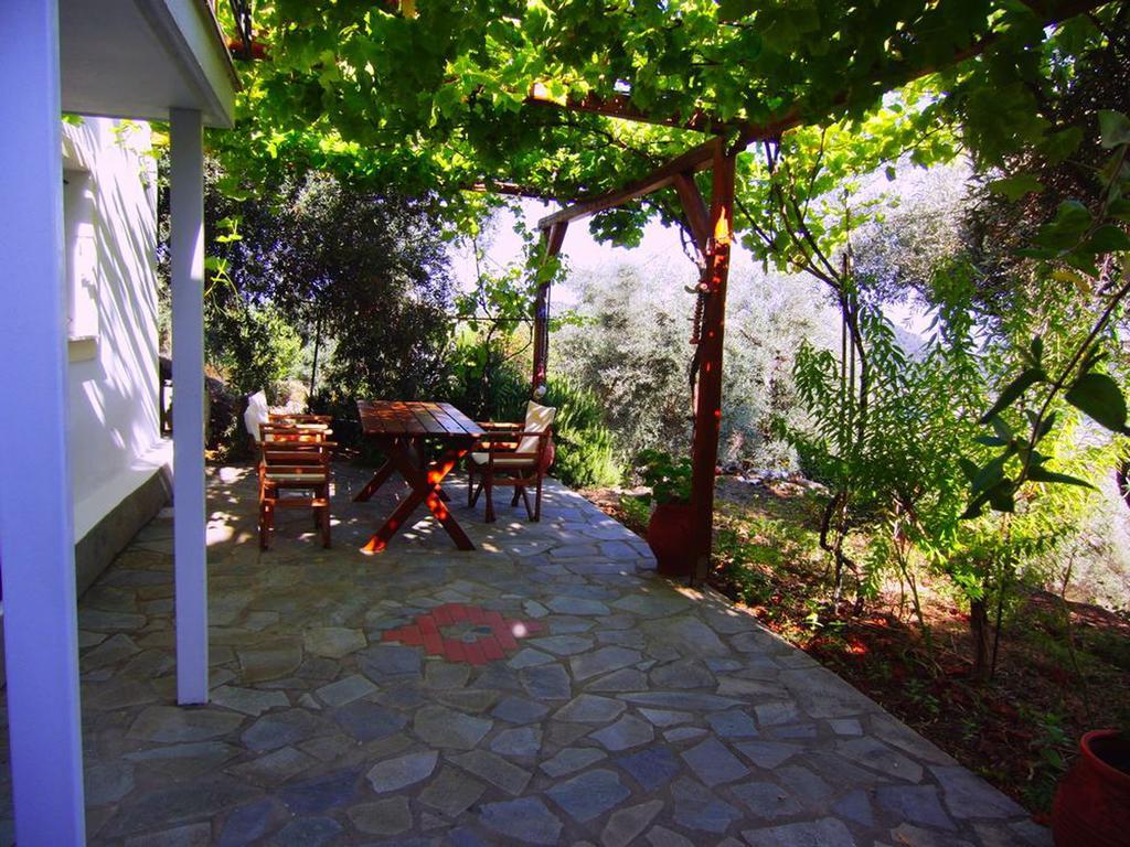 Villas Zoe Ksanemos Екстериор снимка